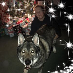 Meet your Posher, Tonya